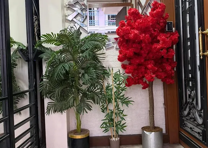 公寓式酒店 Mireva 4*