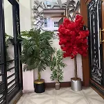 Lejlighedshotel Mireva 4*