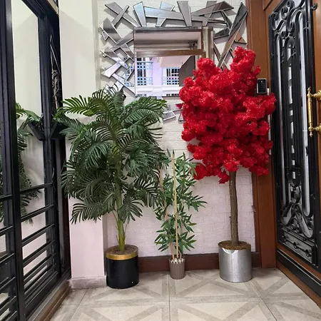 公寓式酒店 Mireva 4*